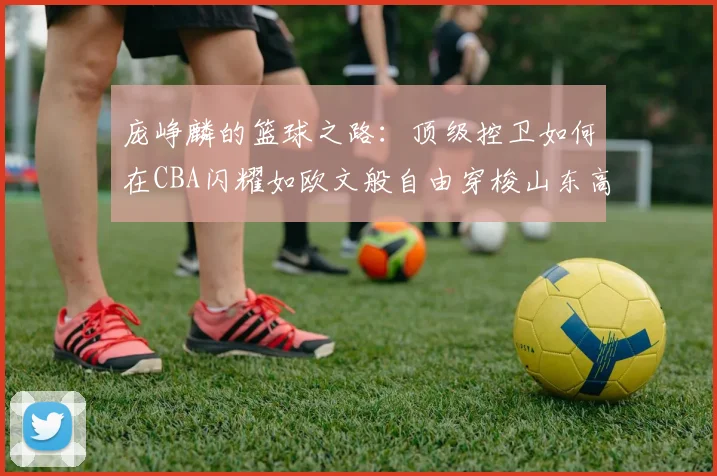 庞峥麟的篮球之路：顶级控卫如何在CBA闪耀如欧文般自由穿梭山东高速